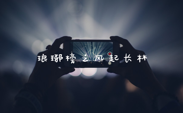 琅琊榜之风起长林