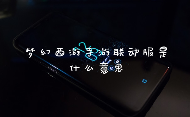 梦幻西游手游联动服是什么意思