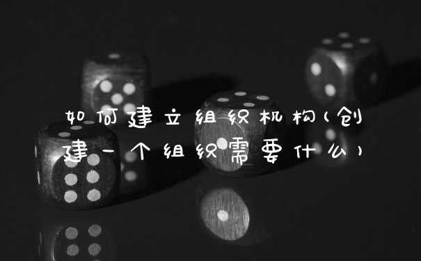 如何建立组织机构(创建一个组织需要什么)