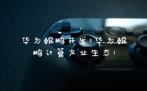 华为鲲鹏开发(华为鲲鹏计算产业生态)
