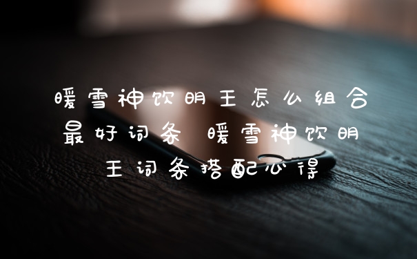 暖雪神饮明王怎么组合最好词条 暖雪神饮明王词条搭配心得
