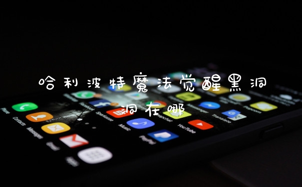 哈利波特魔法觉醒黑洞洞在哪