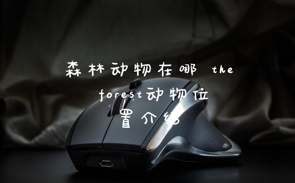 森林动物在哪 the forest动物位置介绍