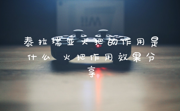 泰拉瑞亚火把的作用是什么 火把作用效果分享