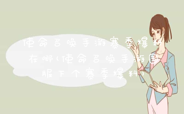 使命召唤手游赛季爆料在哪(使命召唤手游国服下个赛季爆料)