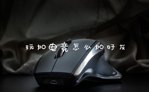 玩加电竞怎么加好友