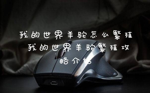 我的世界羊驼怎么繁殖 我的世界羊驼繁殖攻略介绍