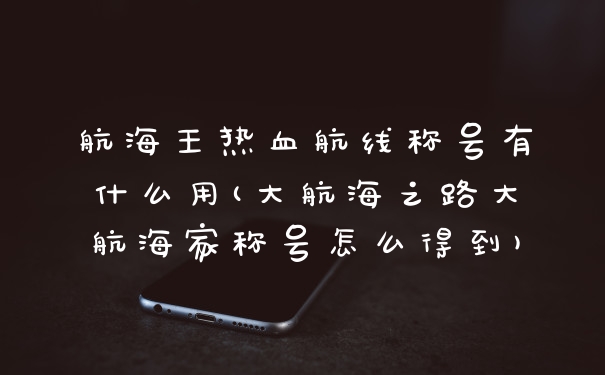 航海王热血航线称号有什么用(大航海之路大航海家称号怎么得到)