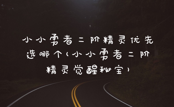 小小勇者二阶精灵优先选哪个(小小勇者二阶精灵觉醒秘宝)