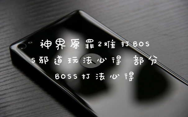 神界原罪2难打BOSS邪道玩法心得 部分BOSS打法心得
