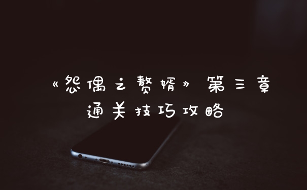 《怨偶之赘婿》第三章通关技巧攻略