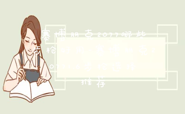 赛博朋克2077哪些步枪好用-赛博朋克20771.6步枪选择推荐