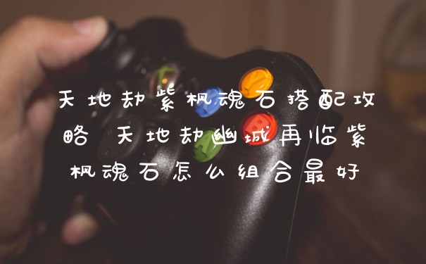 天地劫紫枫魂石搭配攻略 天地劫幽城再临紫枫魂石怎么组合最好