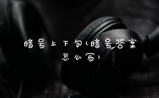 暗号上下句(暗号答案怎么写)