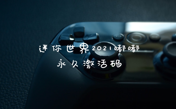 迷你世界2021嘟嘟永久激活码