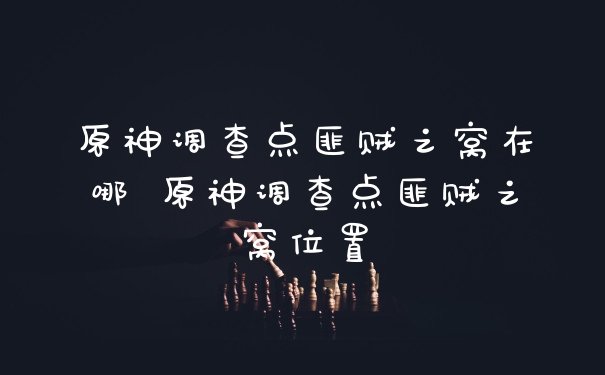 原神调查点匪贼之窝在哪 原神调查点匪贼之窝位置