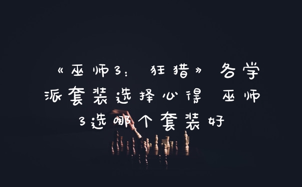 《巫师3:狂猎》各学派套装选择心得 巫师3选哪个套装好