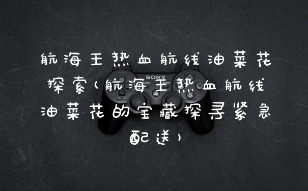 航海王热血航线油菜花探索(航海王热血航线油菜花的宝藏探寻紧急配送)
