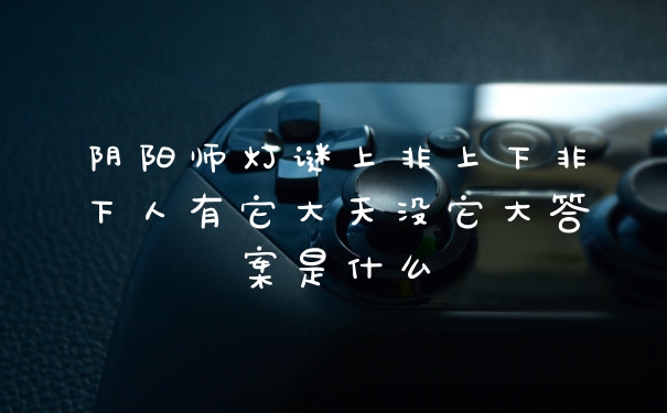 阴阳师灯谜上非上下非下人有它大天没它大答案是什么