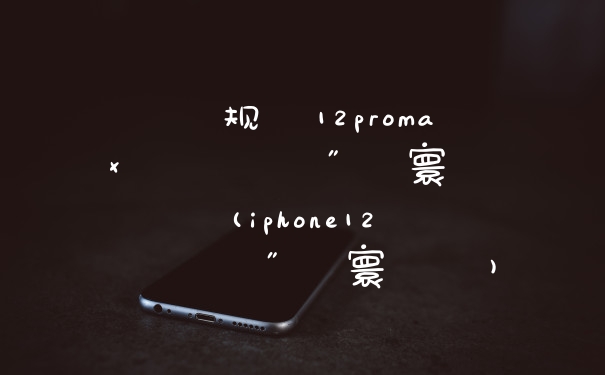 鑻规灉12promax鏄弻鍗″弻寰呭悧(iphone12鏄弻鍗″弻寰呭悧)