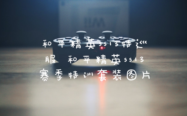 和平精英ss13特巡服 和平精英ss13赛季特训套装图片