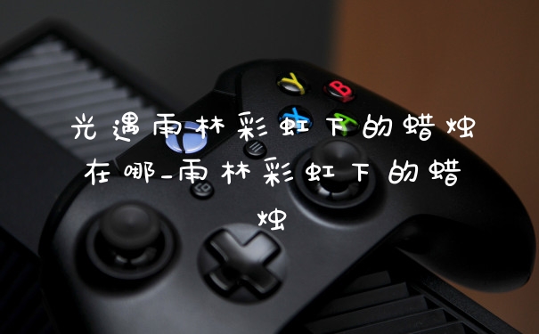 光遇雨林彩虹下的蜡烛在哪_雨林彩虹下的蜡烛