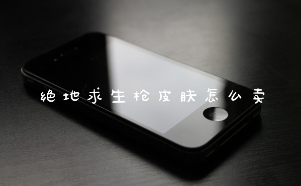 绝地求生枪皮肤怎么卖