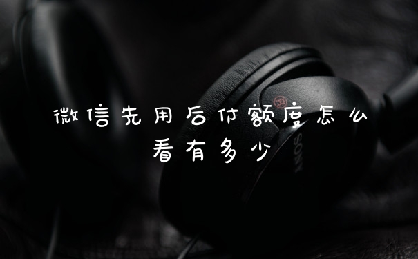 微信先用后付额度怎么看有多少