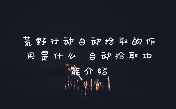 荒野行动自动拾取的作用是什么 自动拾取功能介绍