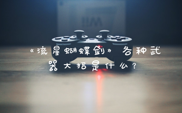 《流星蝴蝶剑》各种武器大招是什么？