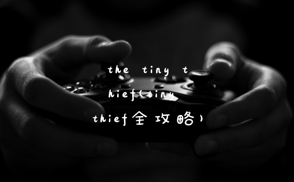 the tiny thief(tiny thief全攻略)