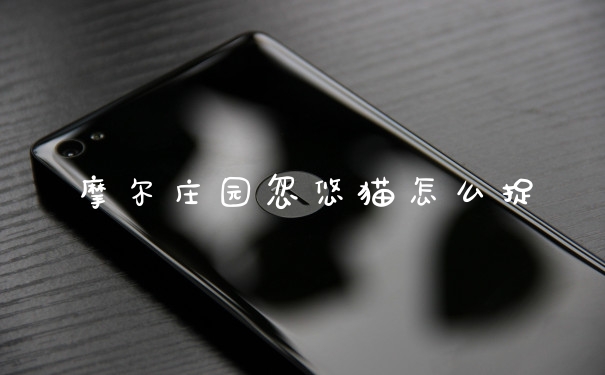 摩尔庄园忽悠猫怎么捉