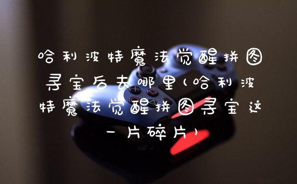 哈利波特魔法觉醒拼图寻宝后去哪里(哈利波特魔法觉醒拼图寻宝这一片碎片)