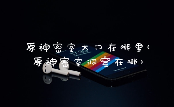 原神密室大门在哪里(原神密室洞窟在哪)
