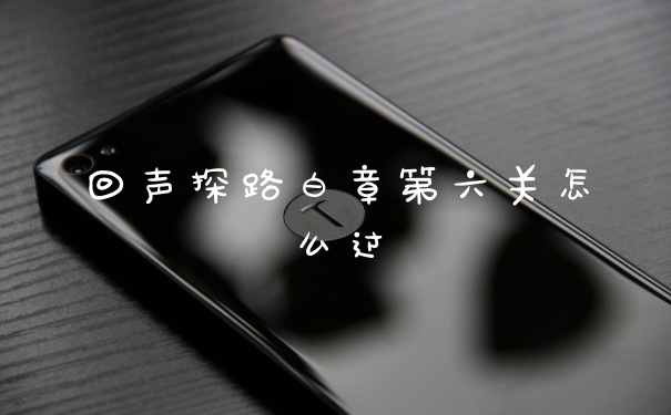回声探路白章第六关怎么过
