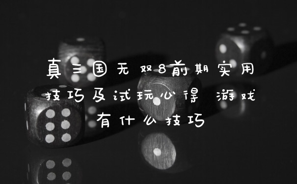 真三国无双8前期实用技巧及试玩心得 游戏有什么技巧