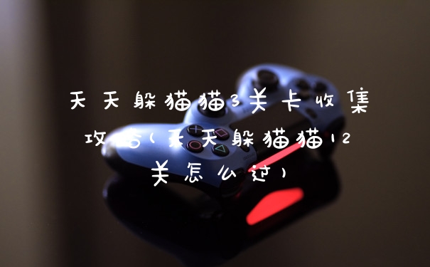 天天躲猫猫3关卡收集攻略(天天躲猫猫12关怎么过)