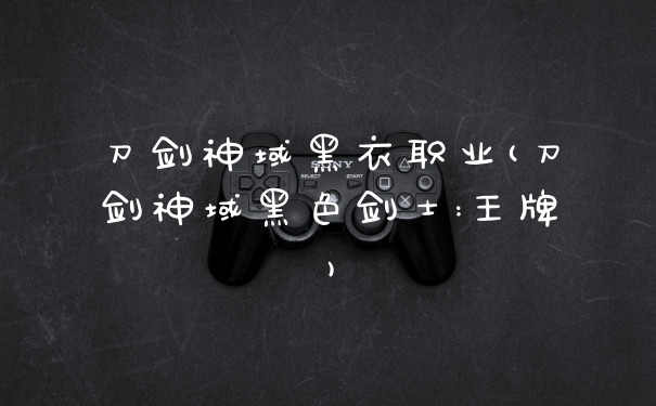 刀剑神域黑衣职业(刀剑神域黑色剑士:王牌)