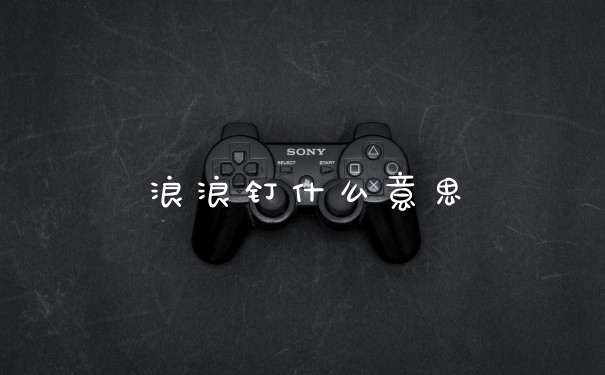 浪浪钉什么意思