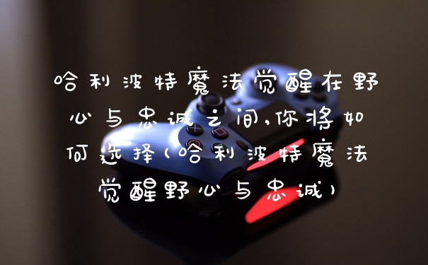 哈利波特魔法觉醒在野心与忠诚之间,你将如何选择(哈利波特魔法觉醒野心与忠诚)