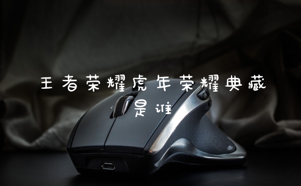 王者荣耀虎年荣耀典藏是谁