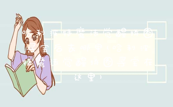 哈利波特魔法觉醒拼图寻宝后去哪里(哈利波特魔法觉醒拼图寻宝在这里)