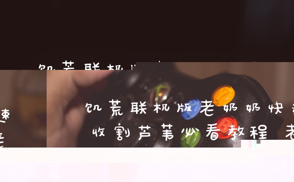 饥荒联机版老奶奶快速收割芦苇必看教程 老奶奶怎么快速收芦苇