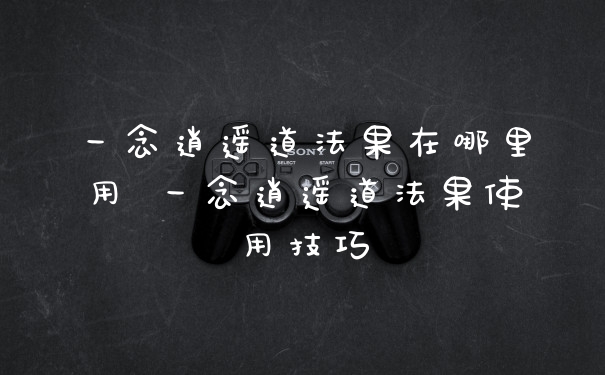 一念逍遥道法果在哪里用 一念逍遥道法果使用技巧