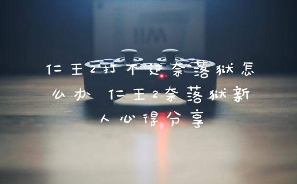 仁王2打不过奈落狱怎么办 仁王2奈落狱新人心得分享