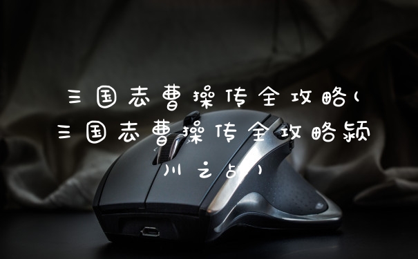 三国志曹操传全攻略(三国志曹操传全攻略颍川之战)