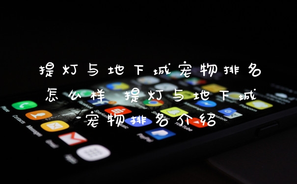 提灯与地下城宠物排名怎么样 提灯与地下城宠物排名介绍