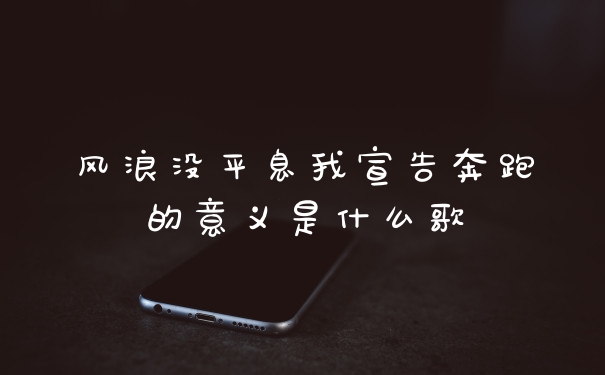 风浪没平息我宣告奔跑的意义是什么歌