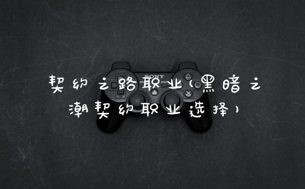 契约之路职业(黑暗之潮契约职业选择)