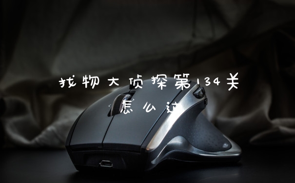 找物大侦探第134关怎么过